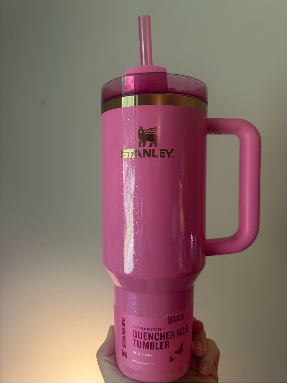 40 oz. Wicked Stanley Pink Quencher H2.0 Tumbler with Handle and Straw Glinda